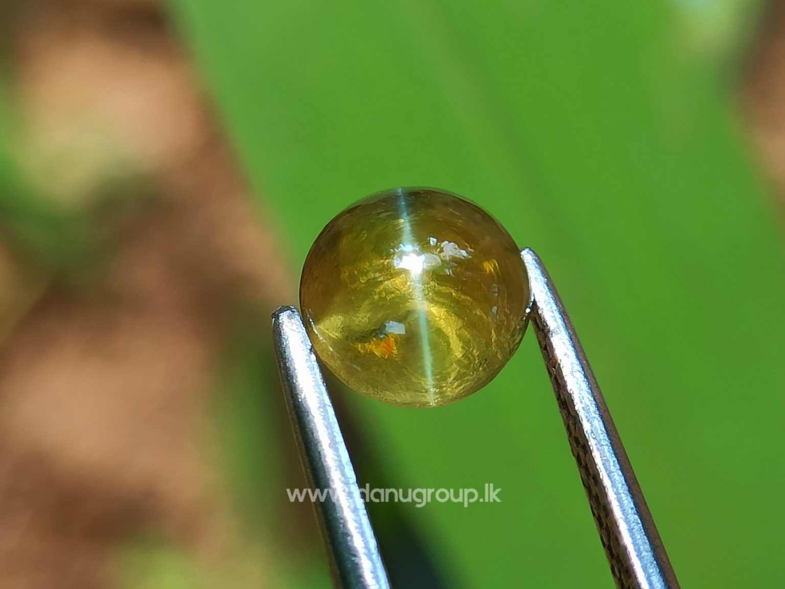 Ceylon Natural Chrysoberyl Cats eye from Danu Group
