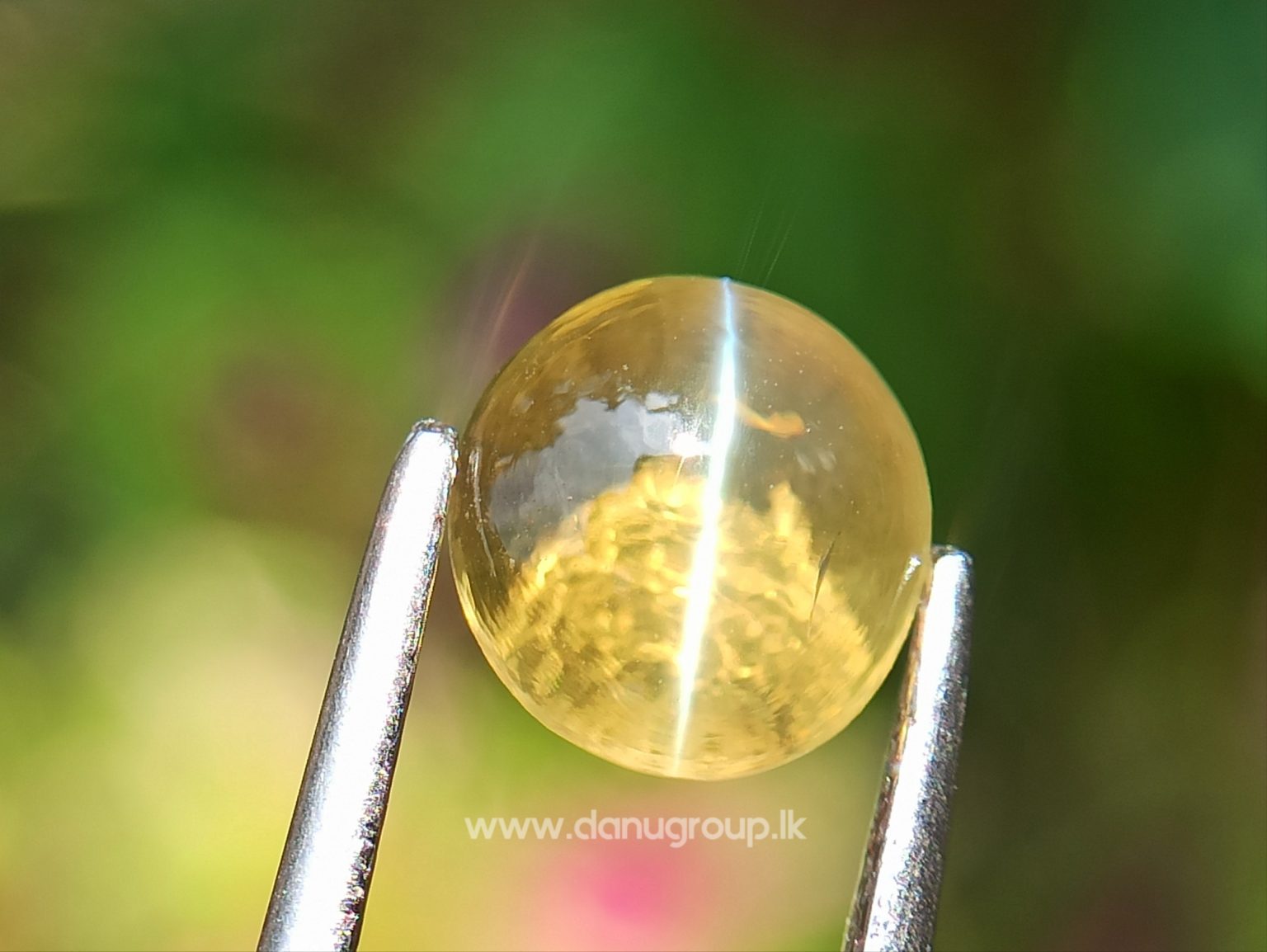 Ceylon Natural High Quality Chrysoberyl Cats Eye from Danu Group