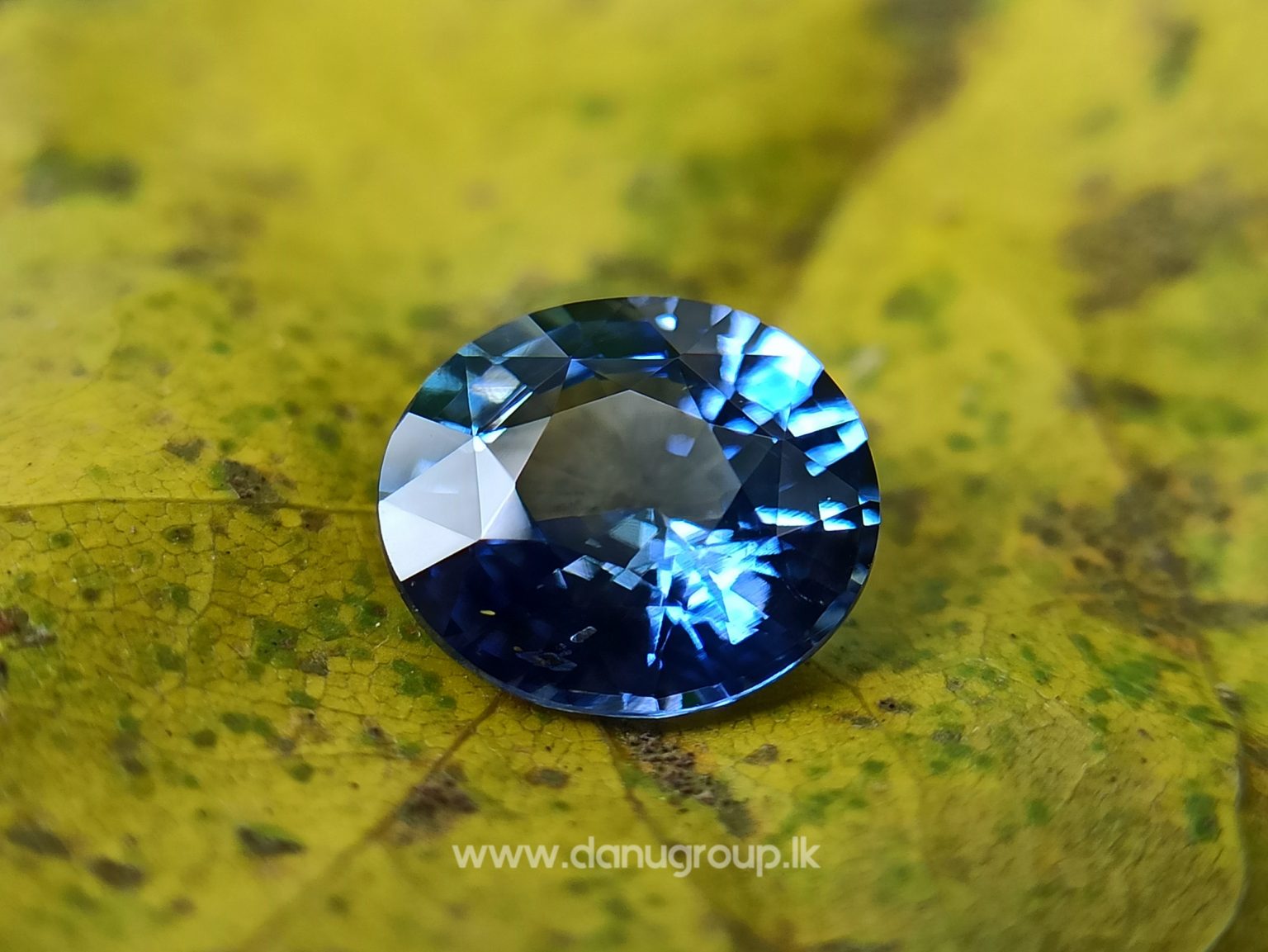 Ceylon Natural Unheated Blue Sapphire Oval Shape Stone from Danu Group -danugroup.lk