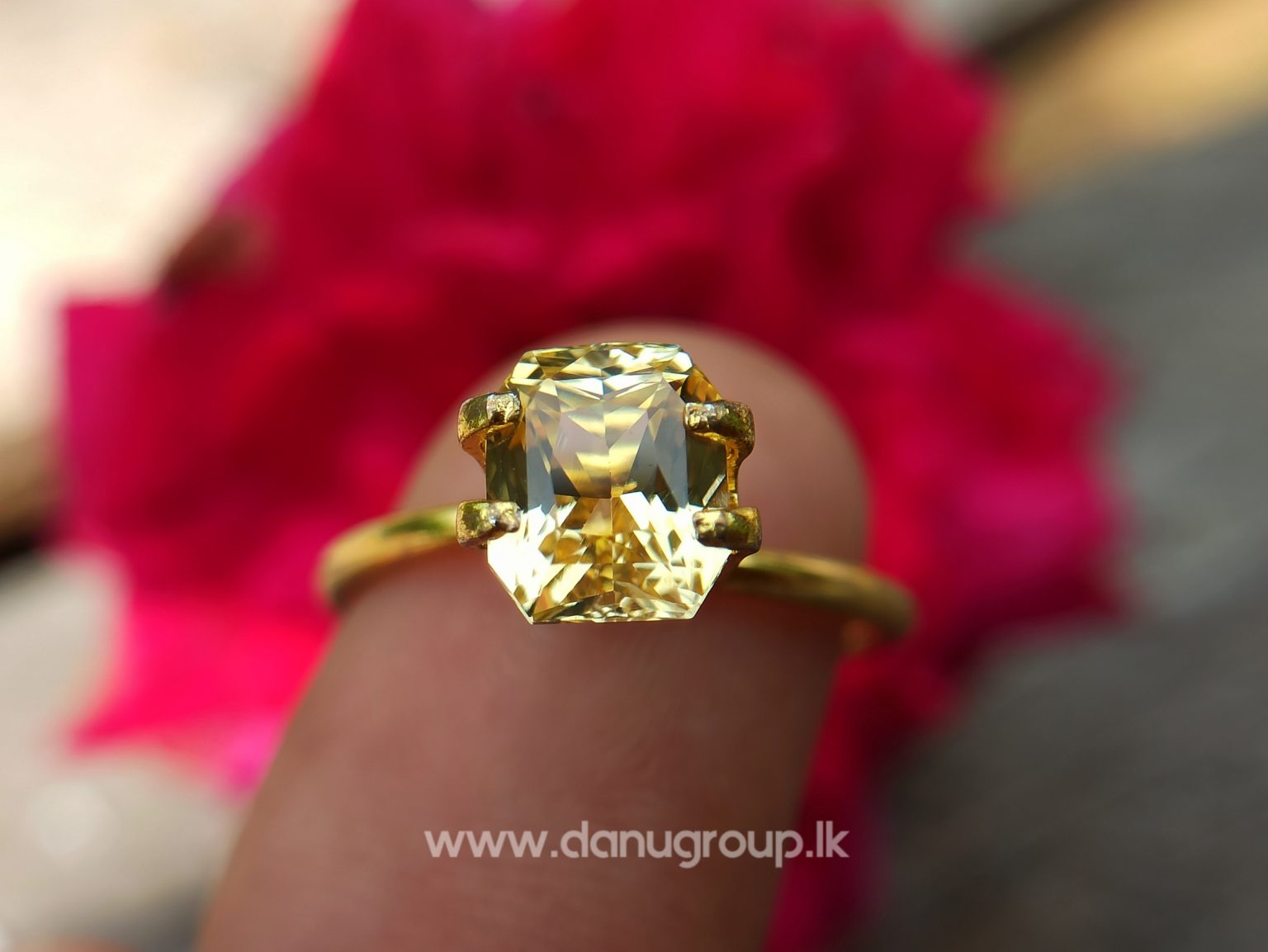 Ceylon Natural Vivid Yellow Sapphire Scissors Cut High Quality Gemstone with Brilliance Lustre - danugroup.lk