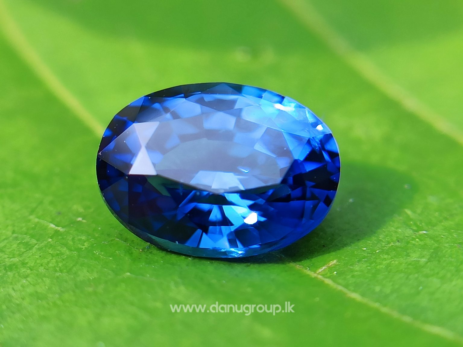 Remarkable Royal blue Colour in Sapphire - Vivid Royal Blue Sapphire Oval shape gem from Danu Group - danugroup.lk