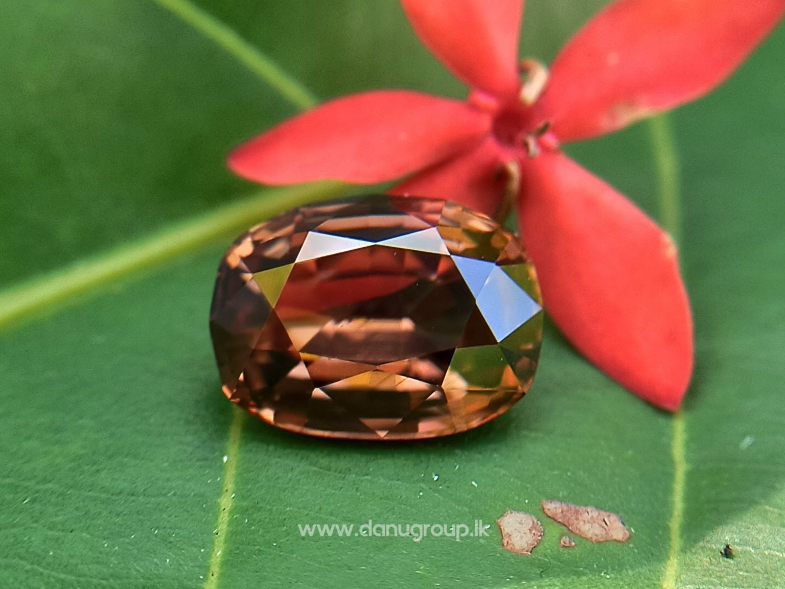 Ceylon Natural Chocolate Brown Zircon From Danu Group Collection Ceylon Sri Lanka