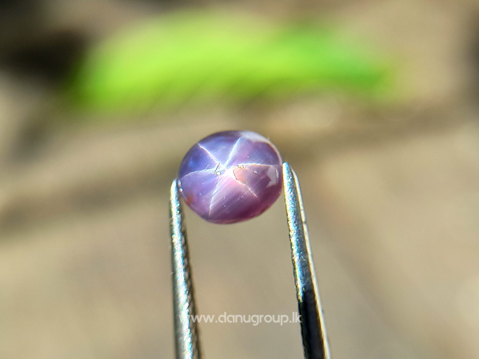 Natural Purple Star Sapphire from Sri Lanka with Colour shifting effect from purple to pink - Danu Group Gemstones Collections