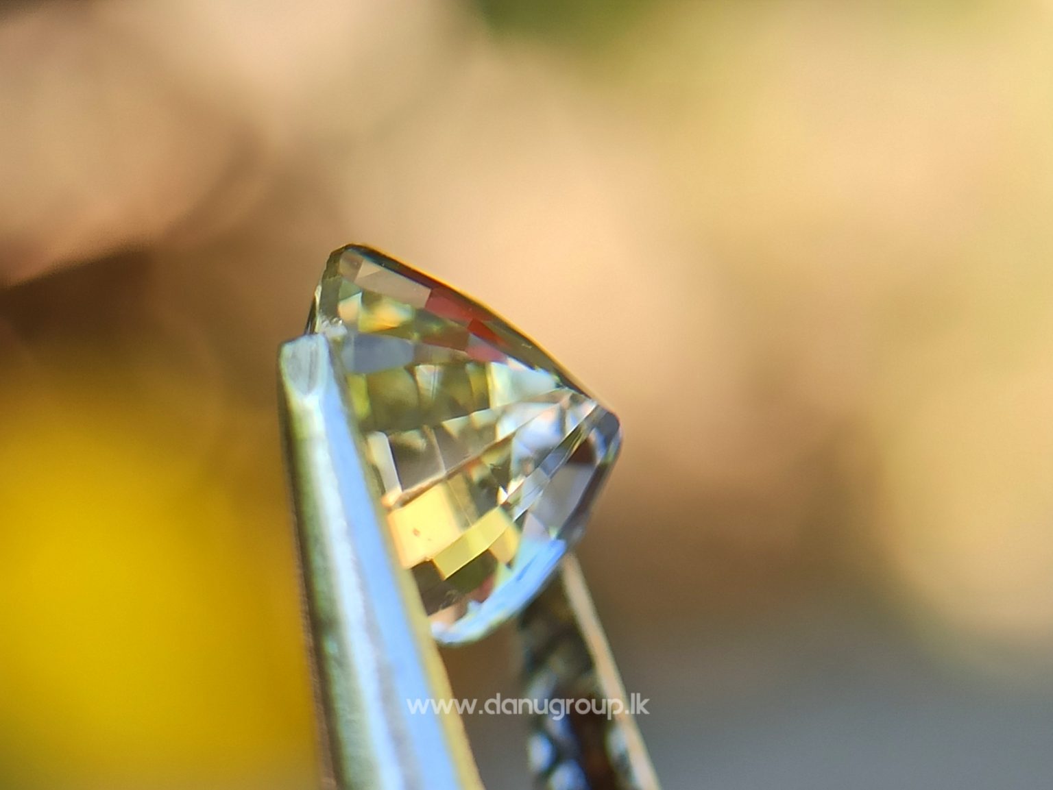 Ceylon Natural Bi Color Sapphire Wedding Stone from Danu Group