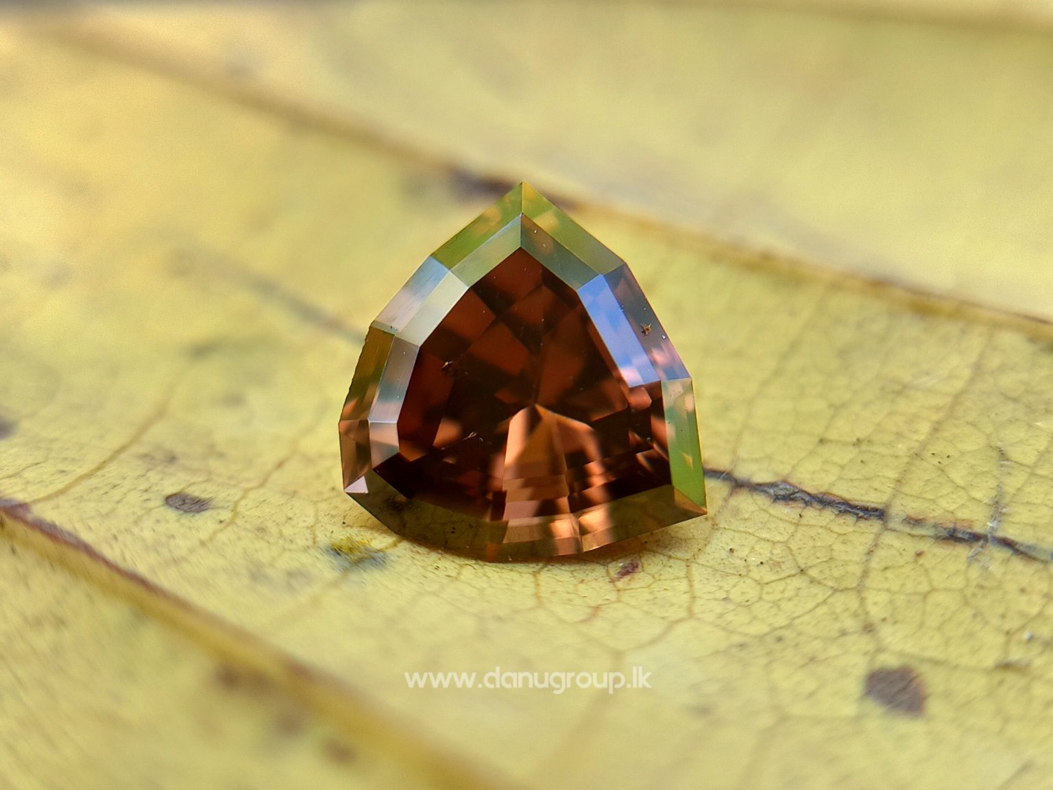 Ceylon Natural chocolate brown Zircon Unique brown gem for fine jewelry Danu Group Gemstones Collections