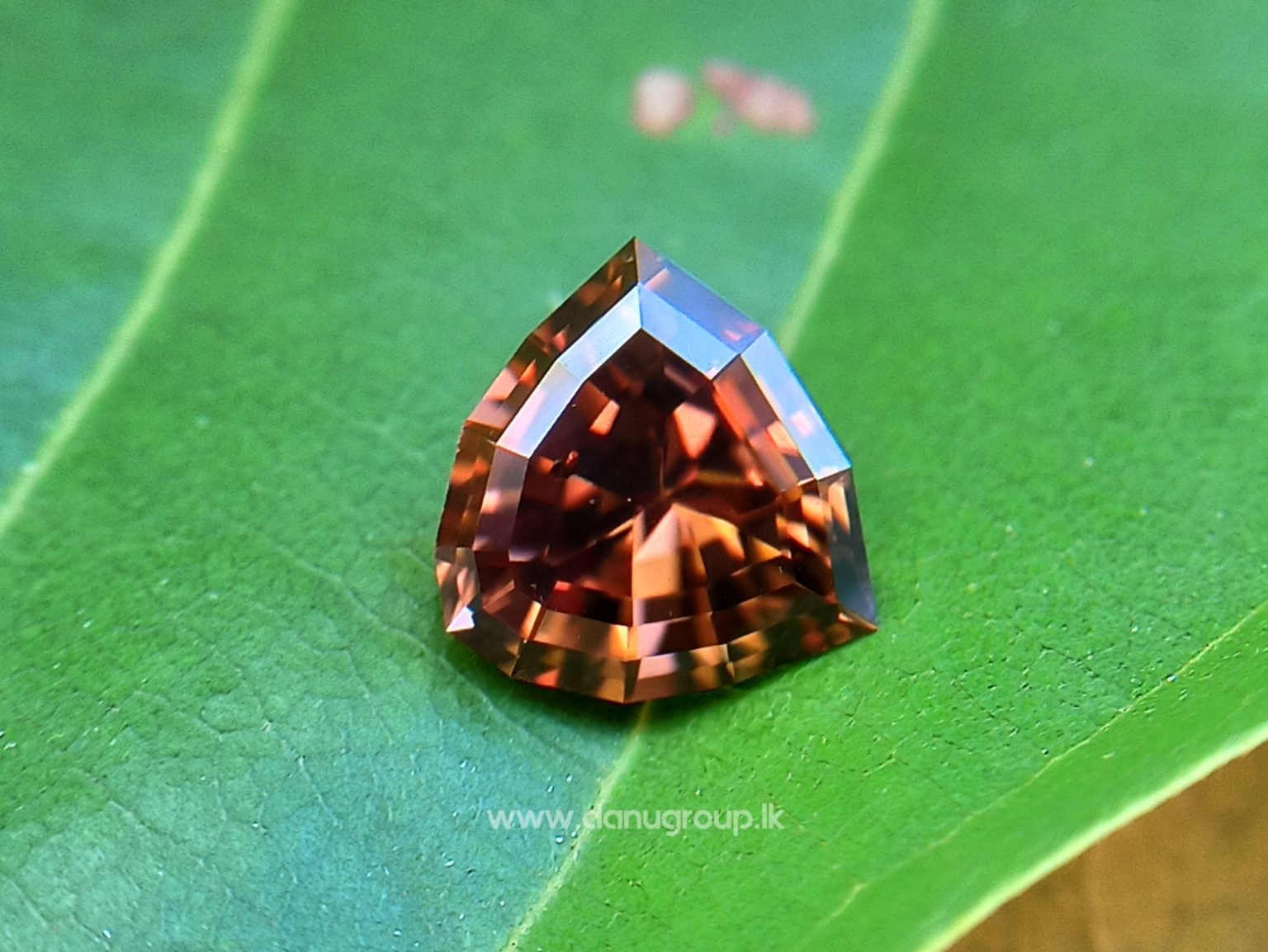 Ceylon Natural chocolate brown Zircon Unique brown gem for fine jewelry Danu Group Gemstones Collections
