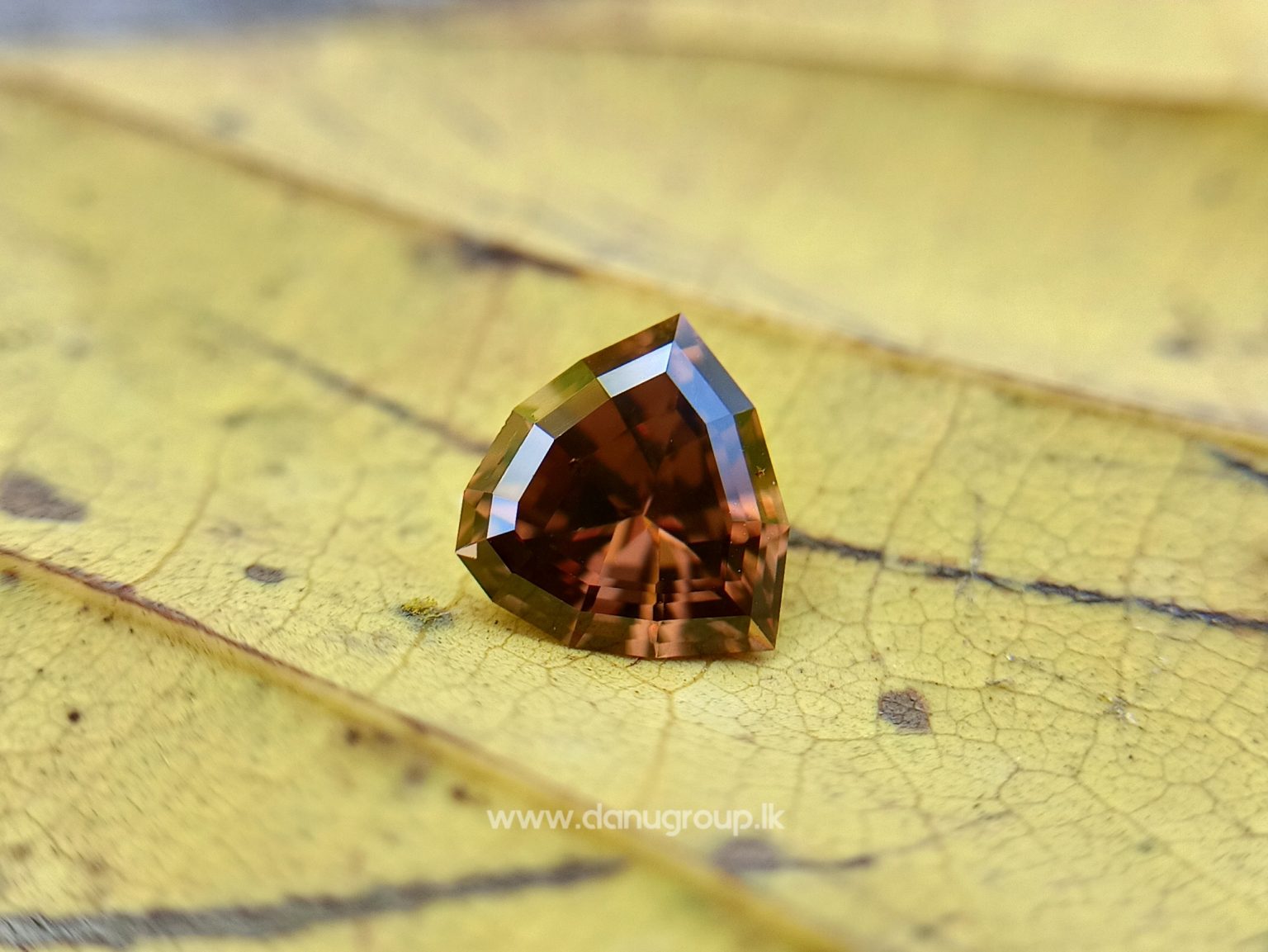 Ceylon Natural chocolate brown Zircon Unique brown gem for fine jewelry Danu Group Gemstones Collections