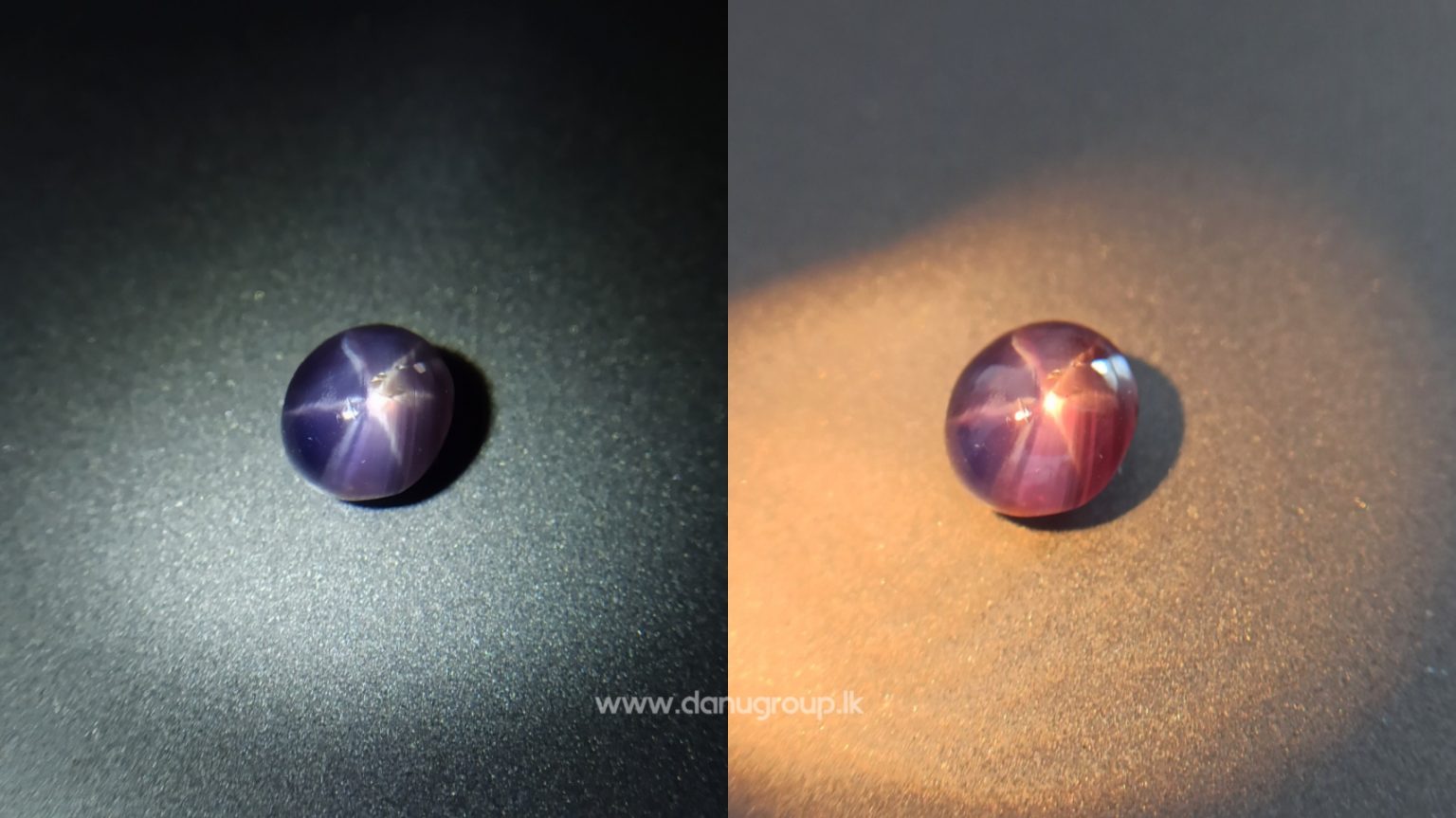Natural Purple Star Sapphire from Sri Lanka with Colour shifting effect from purple to pink - Danu Group Gemstones Collections