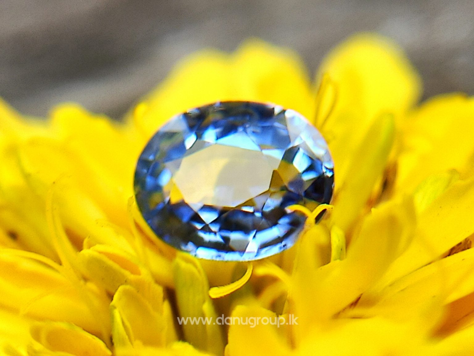 Ceylon Natural Blue Sapphire engagement ring stone from Danu Group Gemstones Collections Ceylon Sapphire