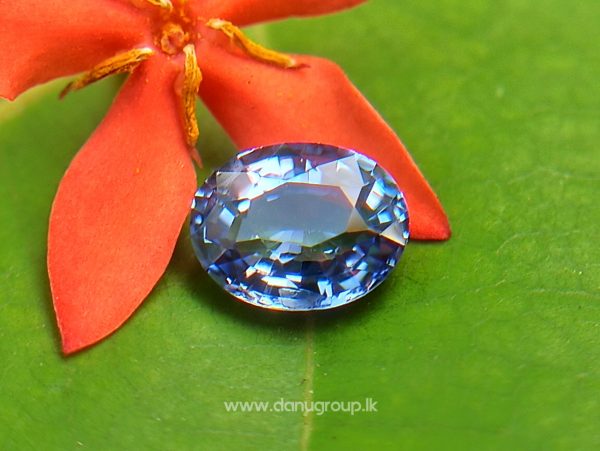 Ceylon Natural Blue Sapphire engagement ring stone from Danu Group Gemstones Collections Ceylon Sapphire