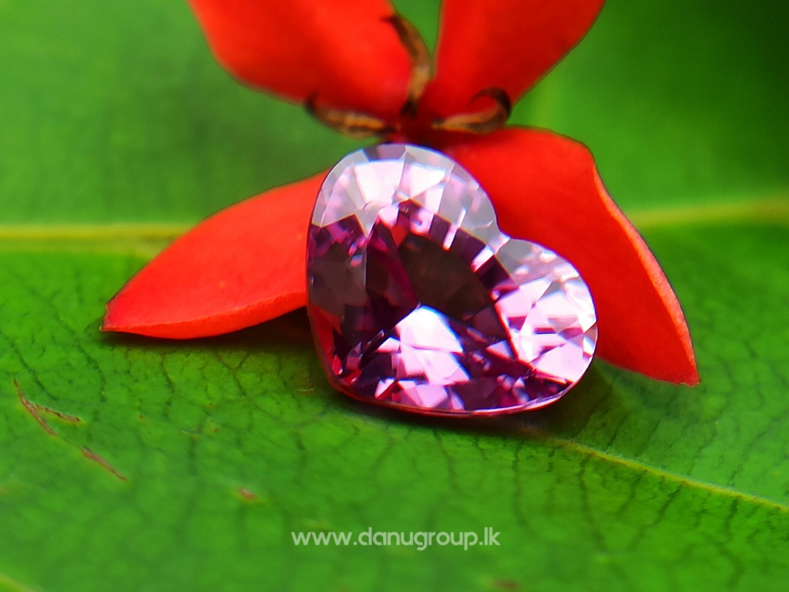 Ceylon Natural Pink Sapphire Heart from Danu Group - Pink Sapphire Engagement ring stone Ceylon sapphire