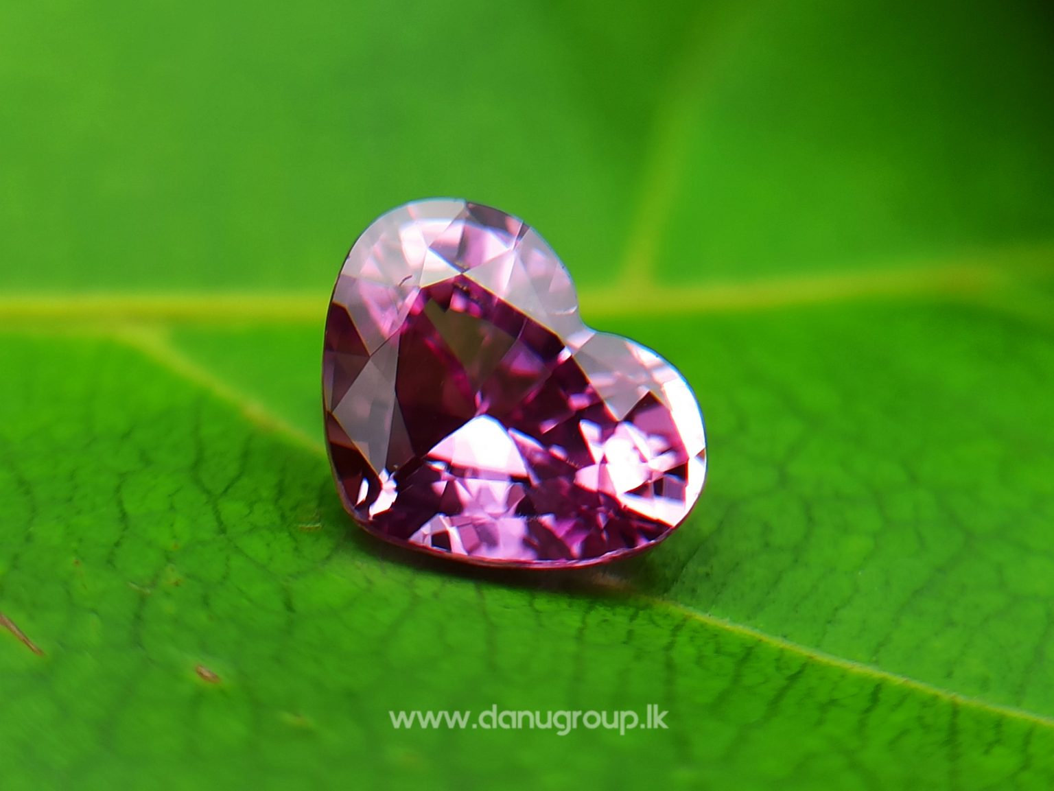 Ceylon Natural Pink Sapphire Heart from Danu Group - Pink Sapphire Engagement ring stone Ceylon sapphire