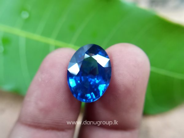 High Quality Ceylon Royal Blue Sapphire Big Oval stone from Danu Group