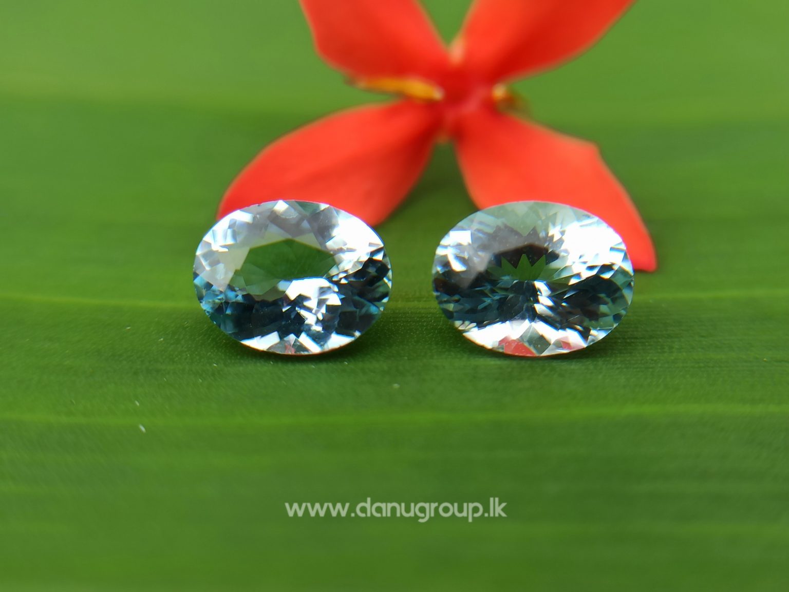 Sri Lankan Natural Light Blue Aquamarine Pair from Balangoda Sri Lanka Danu Group Gemstones Collections
