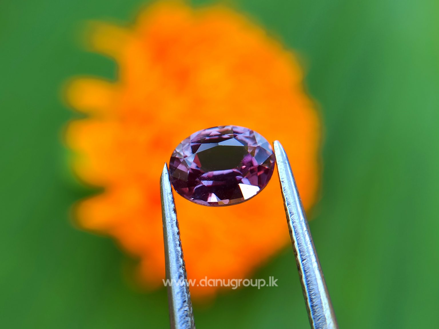 Natural Purplish Pink Sapphire Unheated Oval shape Stone from Danu Group
