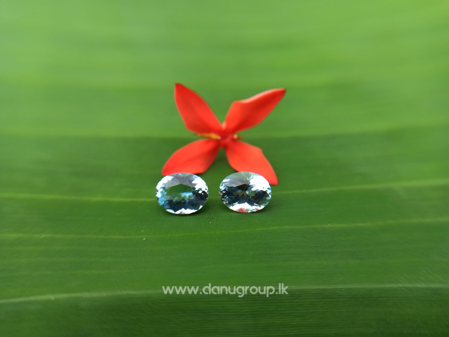 Sri Lankan Natural Light Blue Aquamarine Pair from Balangoda Sri Lanka Danu Group Gemstones Collections