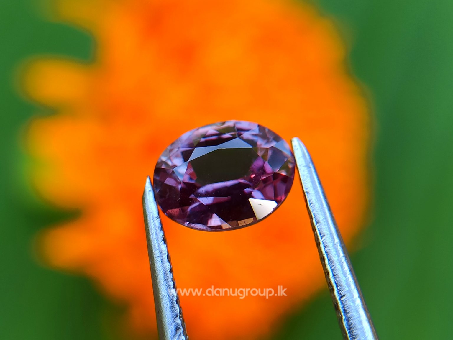 Natural Purplish Pink Sapphire Unheated Oval shape Stone from Danu Group