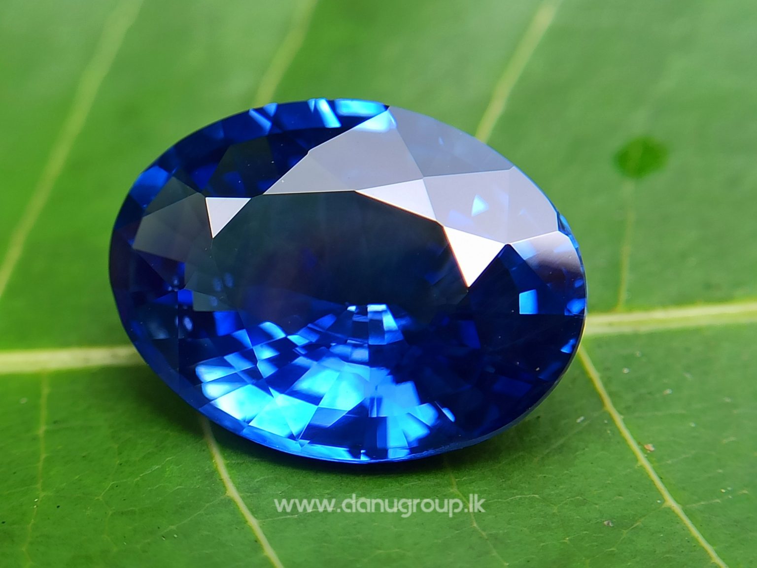 High Quality Ceylon Royal Blue Sapphire Big Oval stone from Danu Group