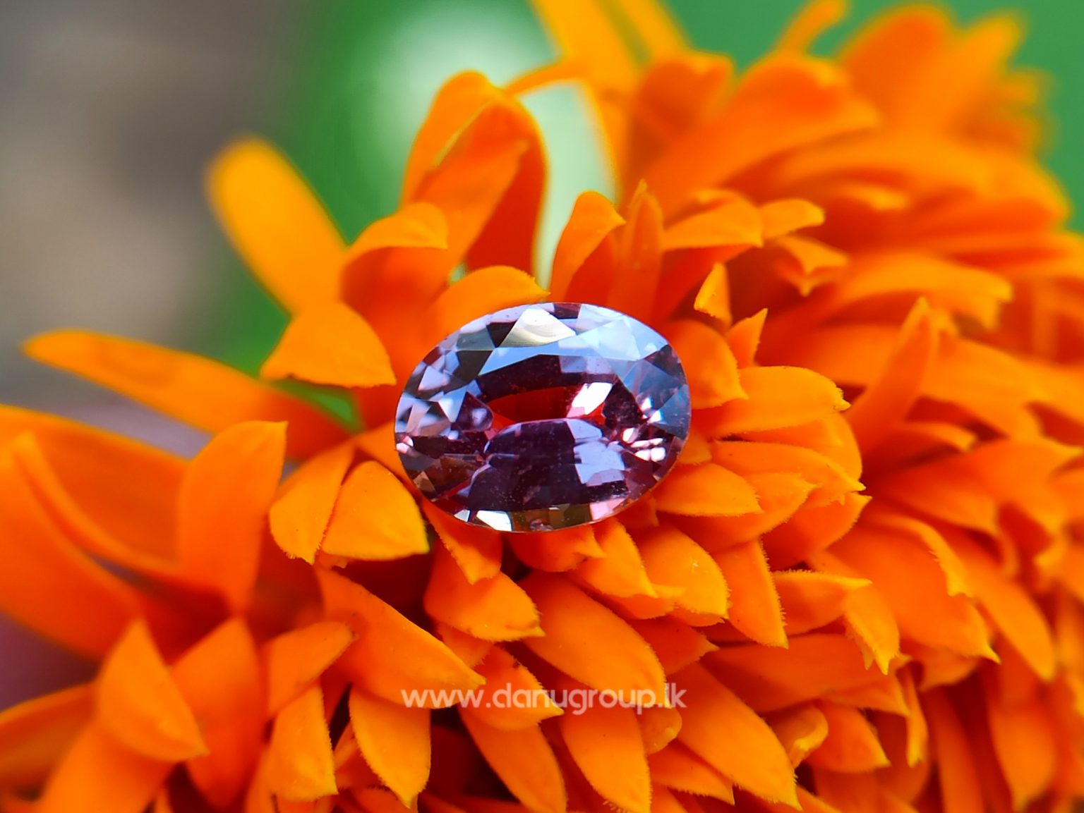 Natural Purplish Pink Sapphire Unheated Oval shape Stone from Danu Group
