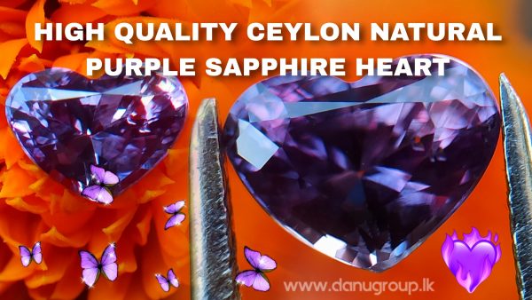 Ceylon Natural Purple Sapphire Heart shape engagement ring quality stone from Danu Group - danugroup.lkCeylon Natural Purple Sapphire Heart shape engagement ring quality stone from Danu Group - danugroup.lkCeylon Natural Purple Sapphire Heart shape engagement ring quality stone from Danu Group - danugroup.lkCeylon Natural Purple Sapphire Heart shape engagement ring quality stone from Danu Group - danugroup.lkCeylon Natural Purple Sapphire Heart shape engagement ring quality stone from Danu Group - danugroup.lkCeylon Natural Purple Sapphire Heart shape engagement ring quality stone from Danu Group - danugroup.lkCeylon Natural Purple Sapphire Heart shape engagement ring quality stone from Danu Group - danugroup.lkCeylon Natural Purple Sapphire Heart shape engagement ring quality stone from Danu Group - danugroup.lkCeylon Natural Purple Sapphire Heart shape engagement ring quality stone from Danu Group - danugroup.lkCeylon Natural Purple Sapphire Heart shape engagement ring quality stone from Danu Group - danugroup.lkCeylon Natural Purple Sapphire Heart shape engagement ring quality stone from Danu Group - danugroup.lk