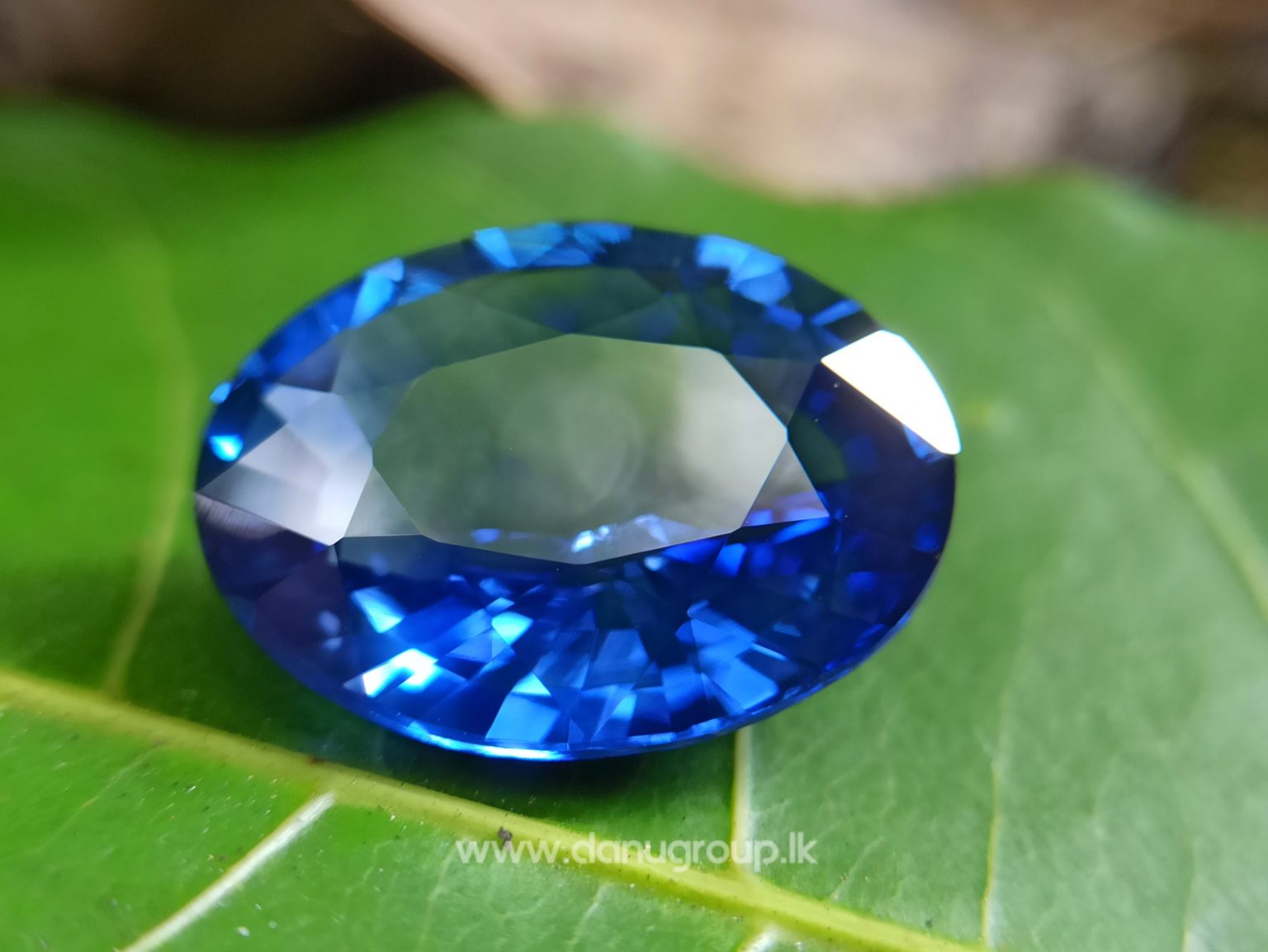 High Quality Ceylon Royal Blue Sapphire Big Oval stone from Danu Group