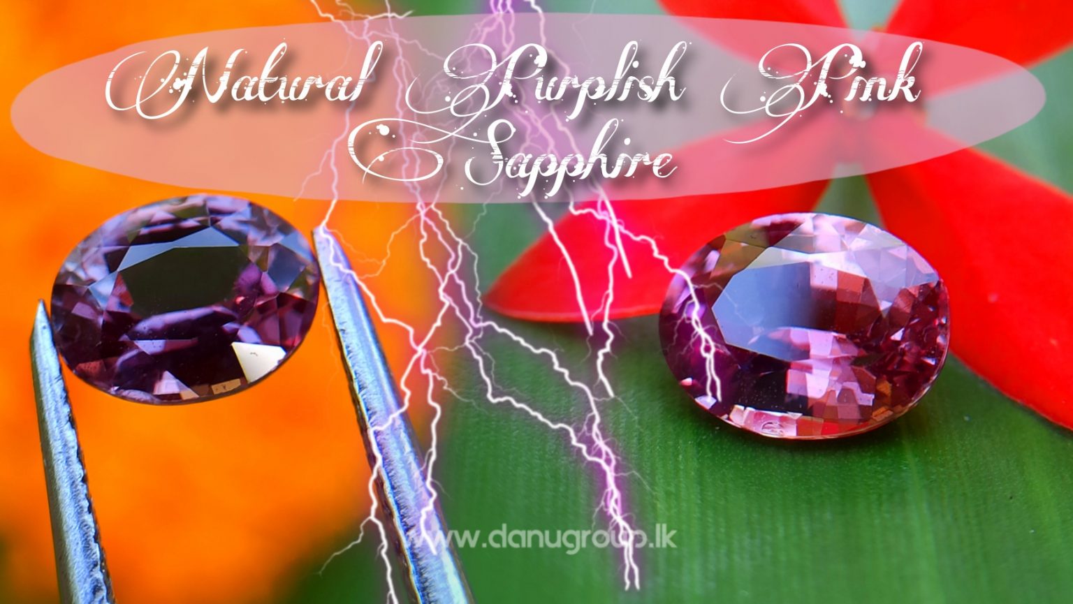 Natural Purplish Pink Sapphire Unheated Oval shape Stone from Danu Group