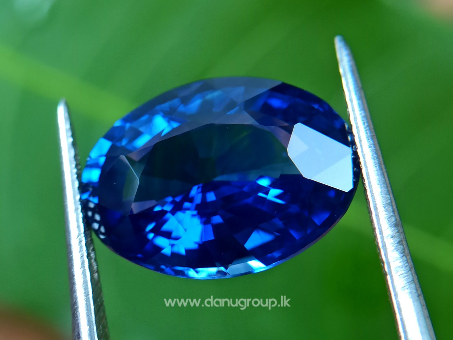 High Quality Ceylon Royal Blue Sapphire Big Oval stone from Danu Group