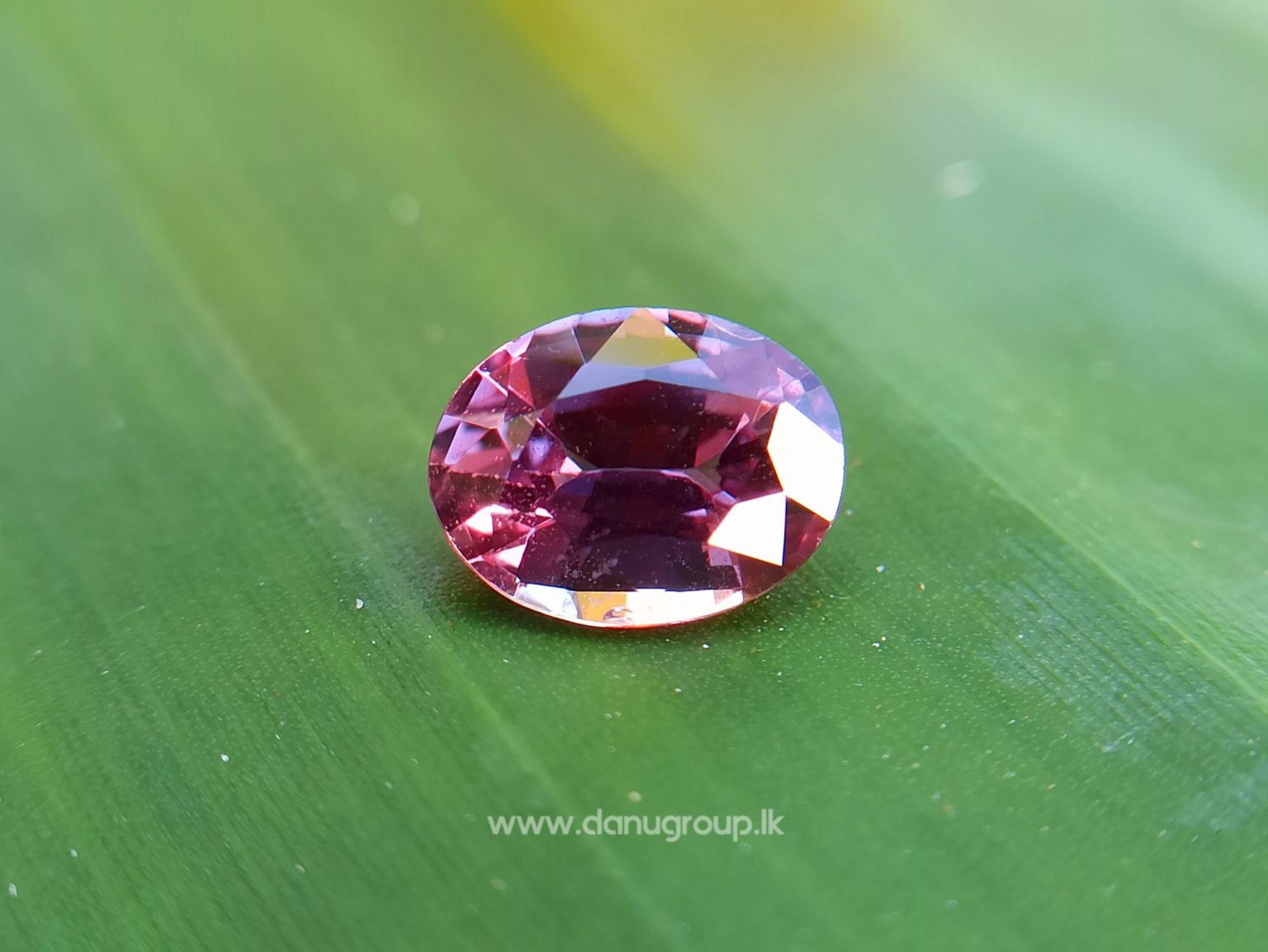 Natural Purplish Pink Sapphire Unheated Oval shape Stone from Danu Group