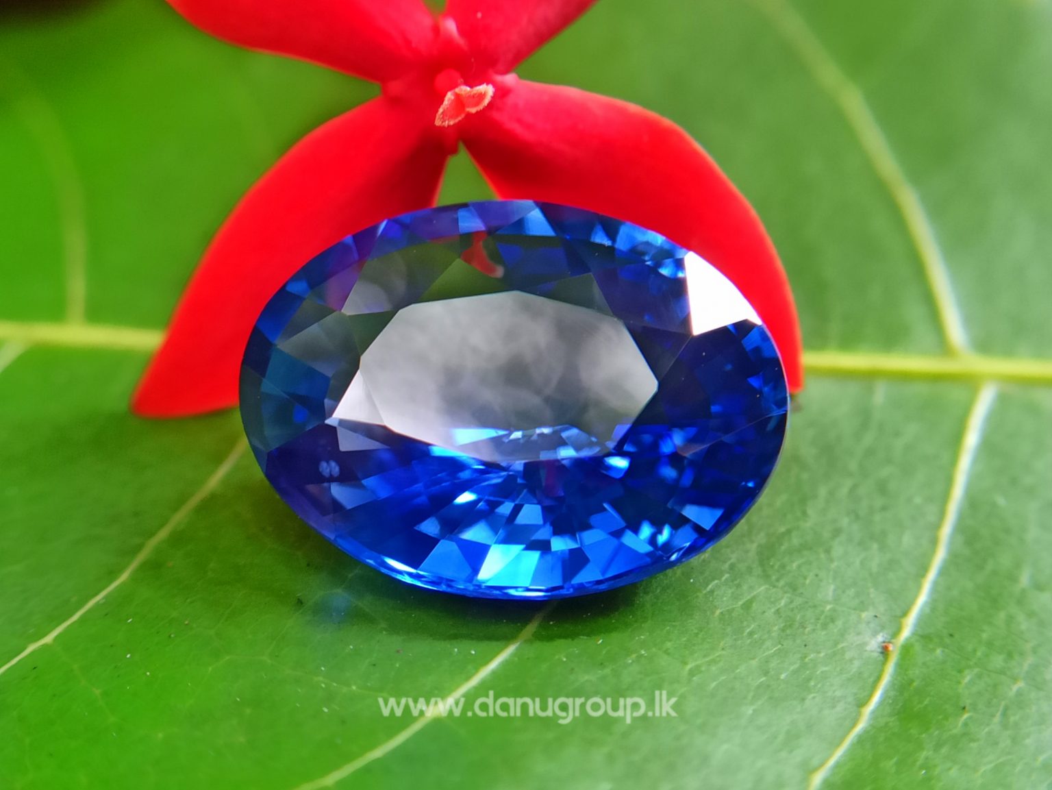 High Quality Ceylon Royal Blue Sapphire Big Oval stone from Danu Group