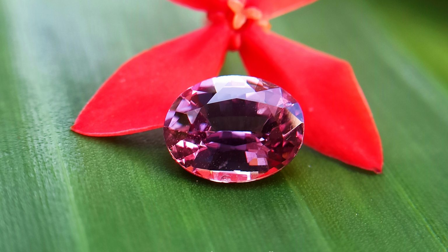Natural Purplish Pink Sapphire Unheated Oval shape Stone from Danu Group