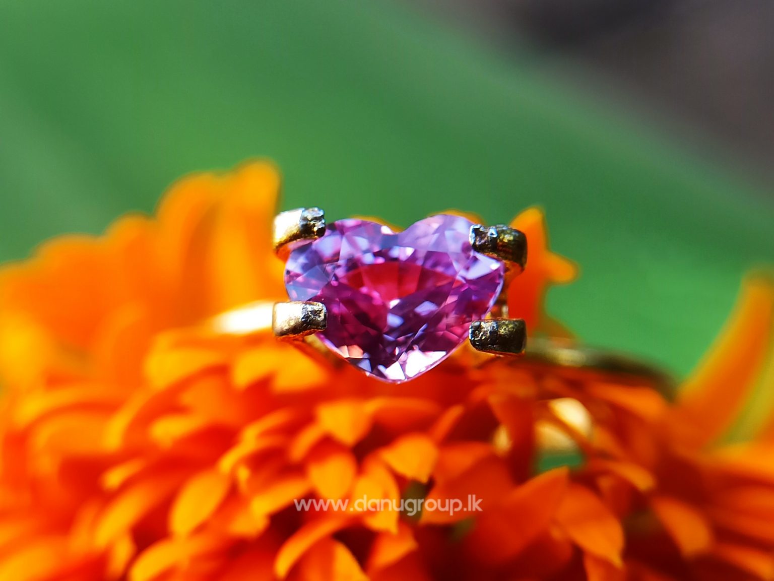 Ceylon Natural Pink Sapphire Heart Danu group
