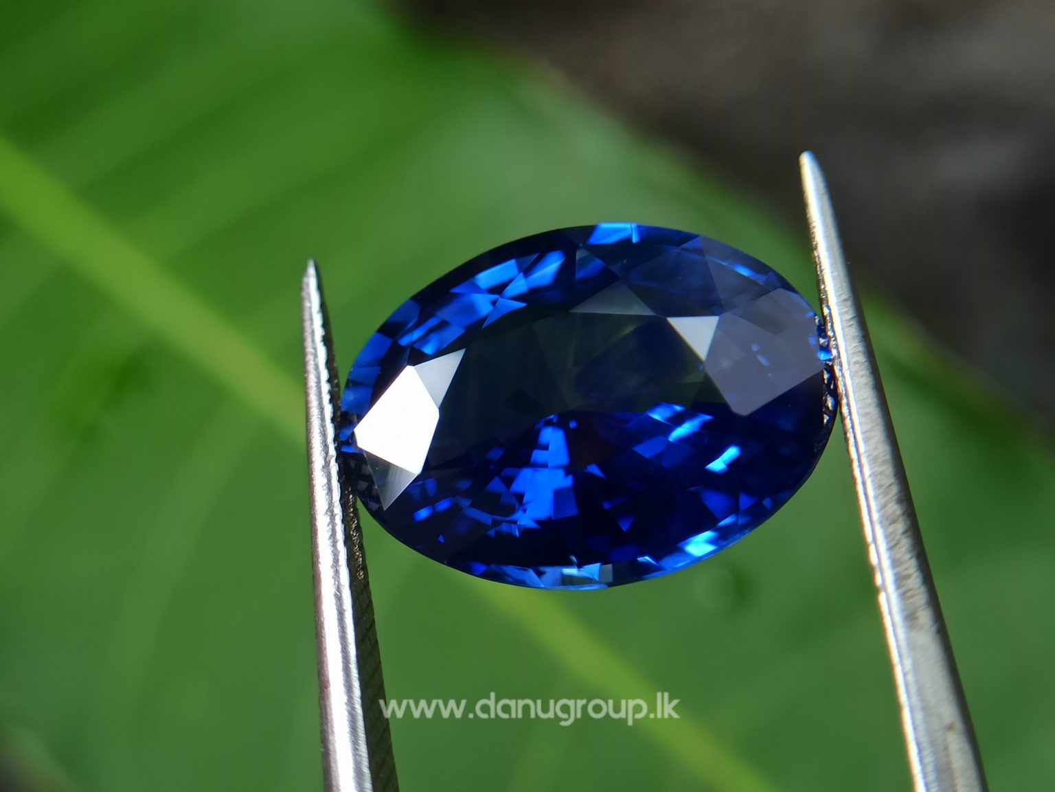 High Quality Ceylon Royal Blue Sapphire Big Oval stone from Danu Group