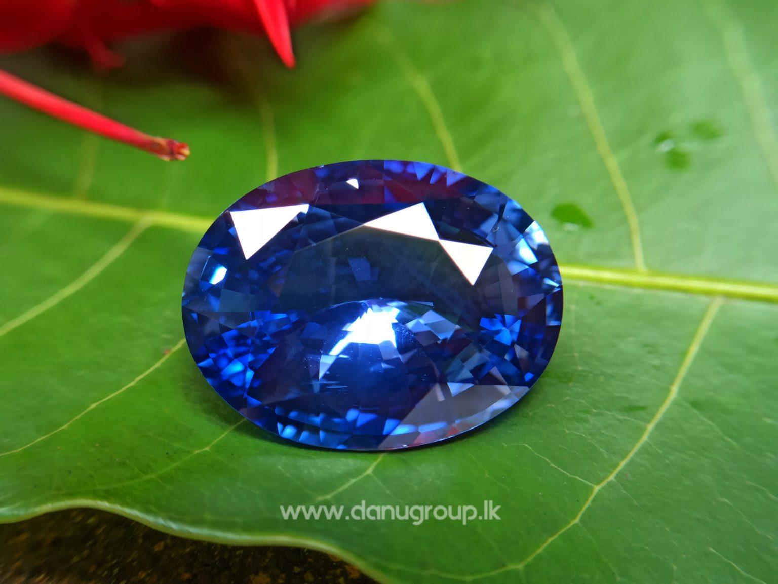 Huge Ceylon Blue Sapphire 27 ct High Quality Big blue sapphire from Danu Group