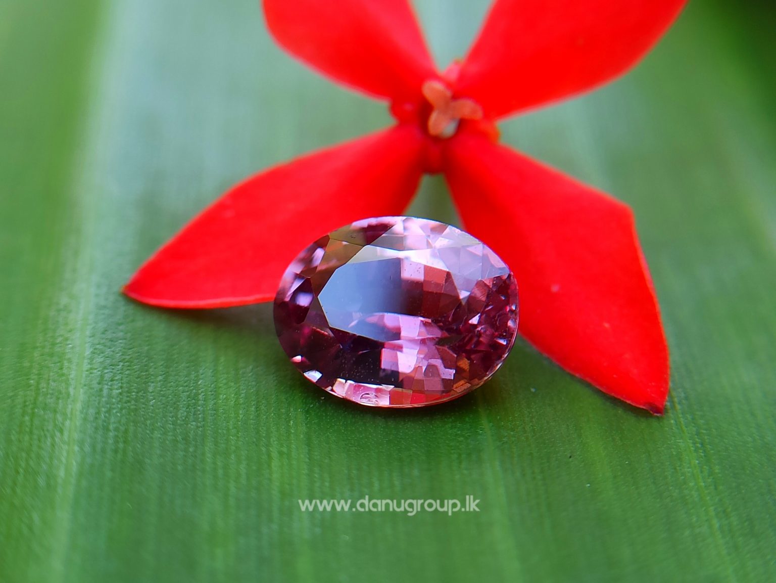 Natural Purplish Pink Sapphire Unheated Oval shape Stone from Danu Group