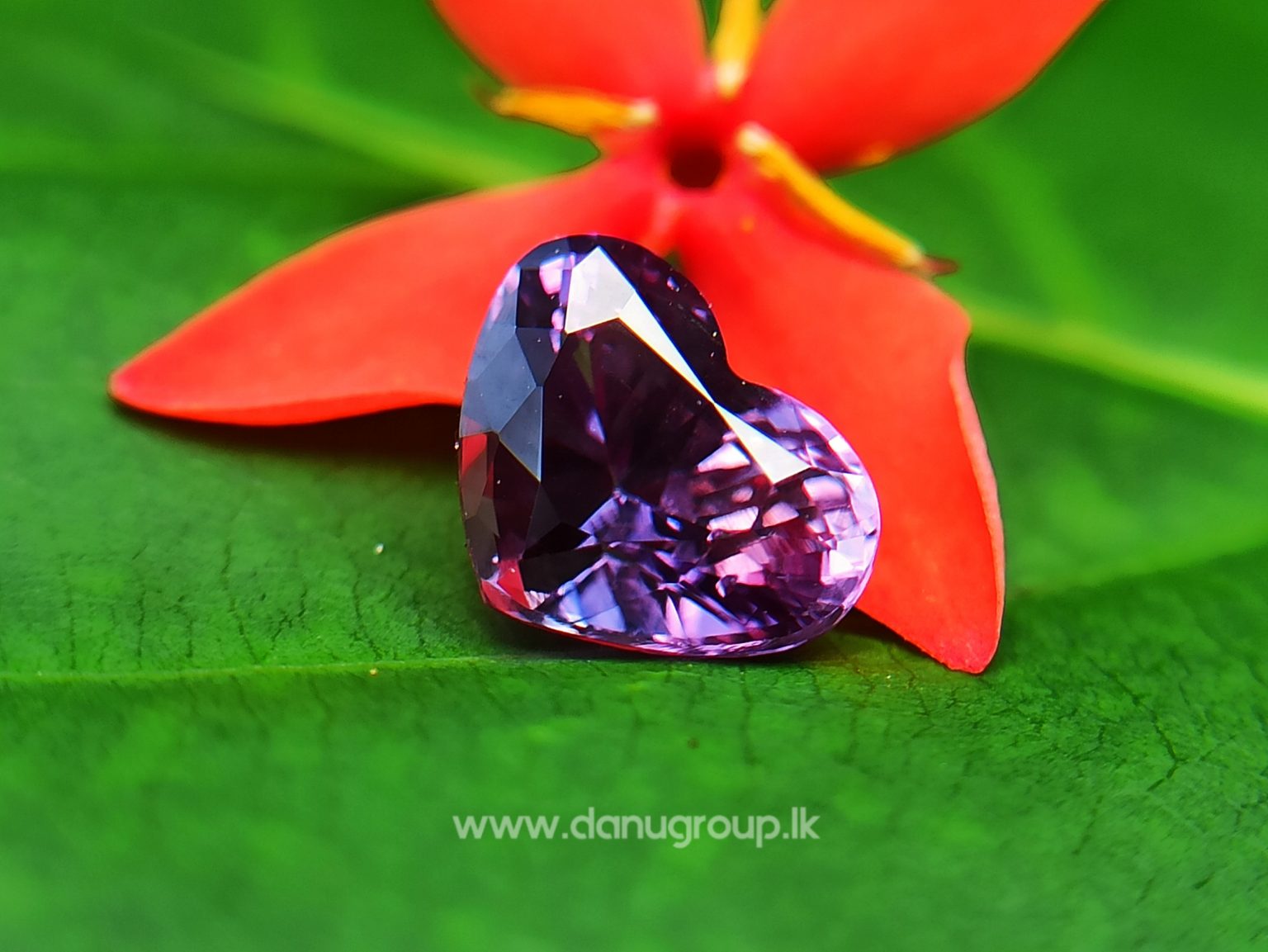 Ceylon Natural Purple Sapphire Heart shape engagement ring quality stone from Danu Group - danugroup.lk