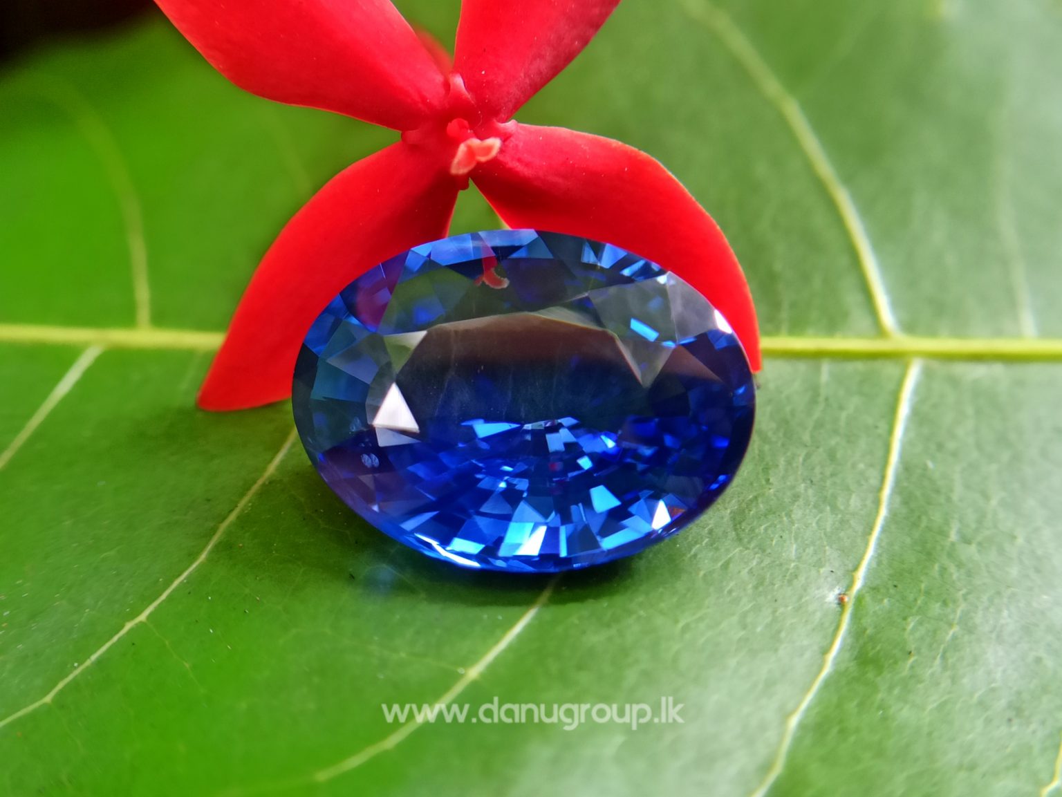 High Quality Ceylon Royal Blue Sapphire Big Oval stone from Danu Group