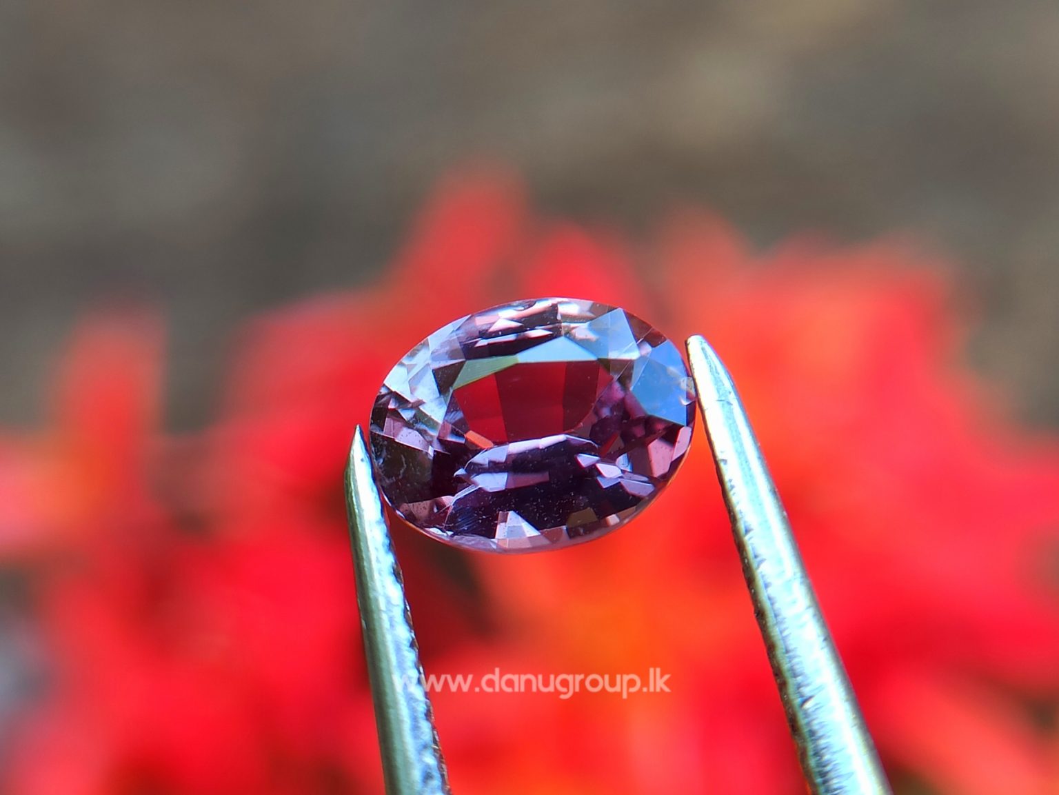 Natural Purplish Pink Sapphire Unheated Oval shape Stone from Danu Group