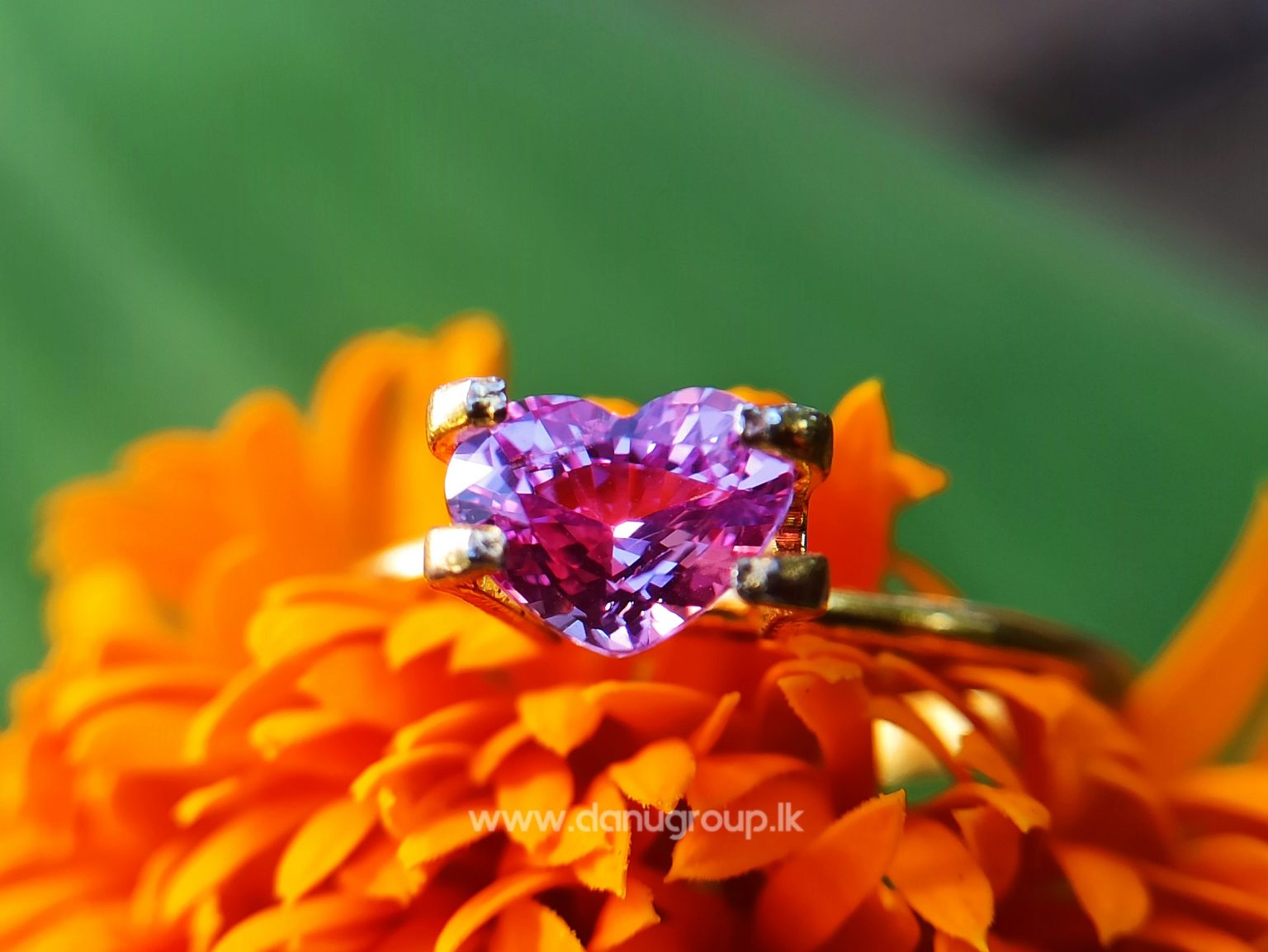 Ceylon Natural Pink Sapphire Heart Danu group