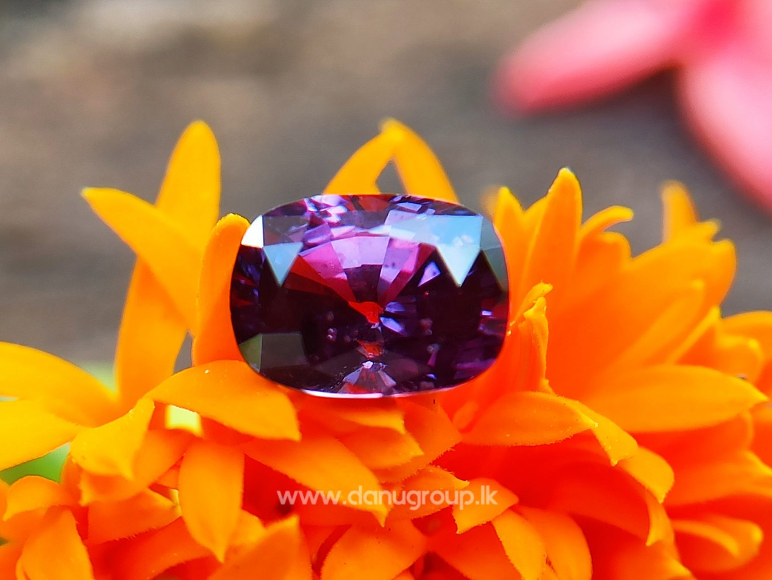 Ceylon Natural Purple Sapphire Cushion Rectangular Gem from Danu Group Engagement Ringstone