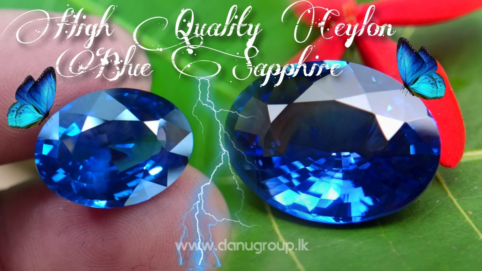 High Quality Ceylon Royal Blue Sapphire Big Oval stone from Danu Group
