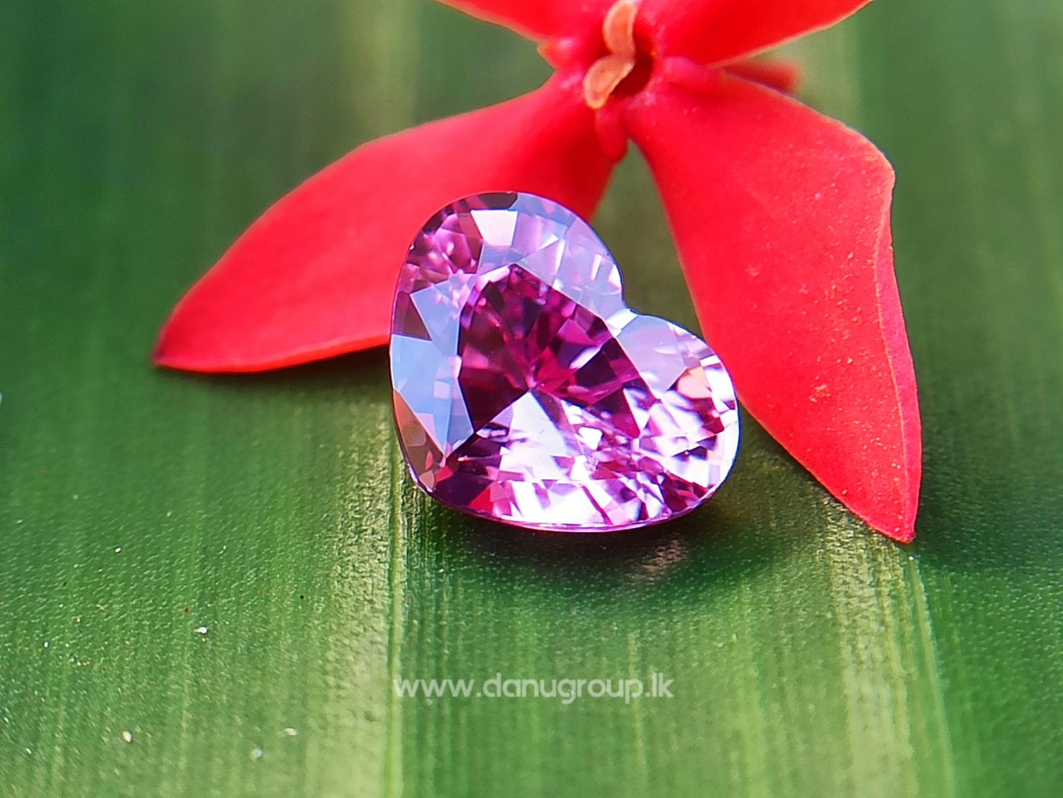 Ceylon Natural Pink Sapphire Heart Danu group