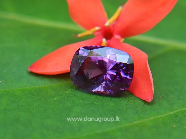Ceylon Natural Purple Sapphire Cushion Rectangular Gem from Danu Group Engagement Ringstone