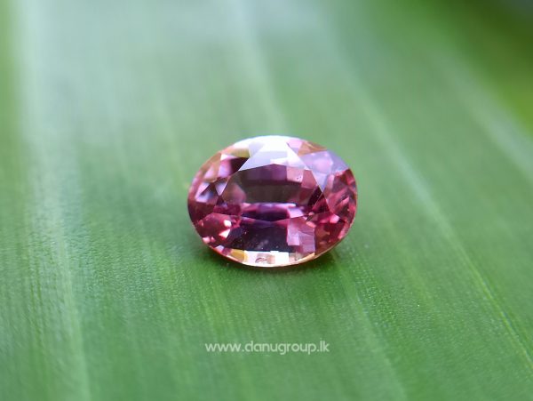 Natural Purplish Pink Sapphire Unheated Oval shape Stone from Danu Group