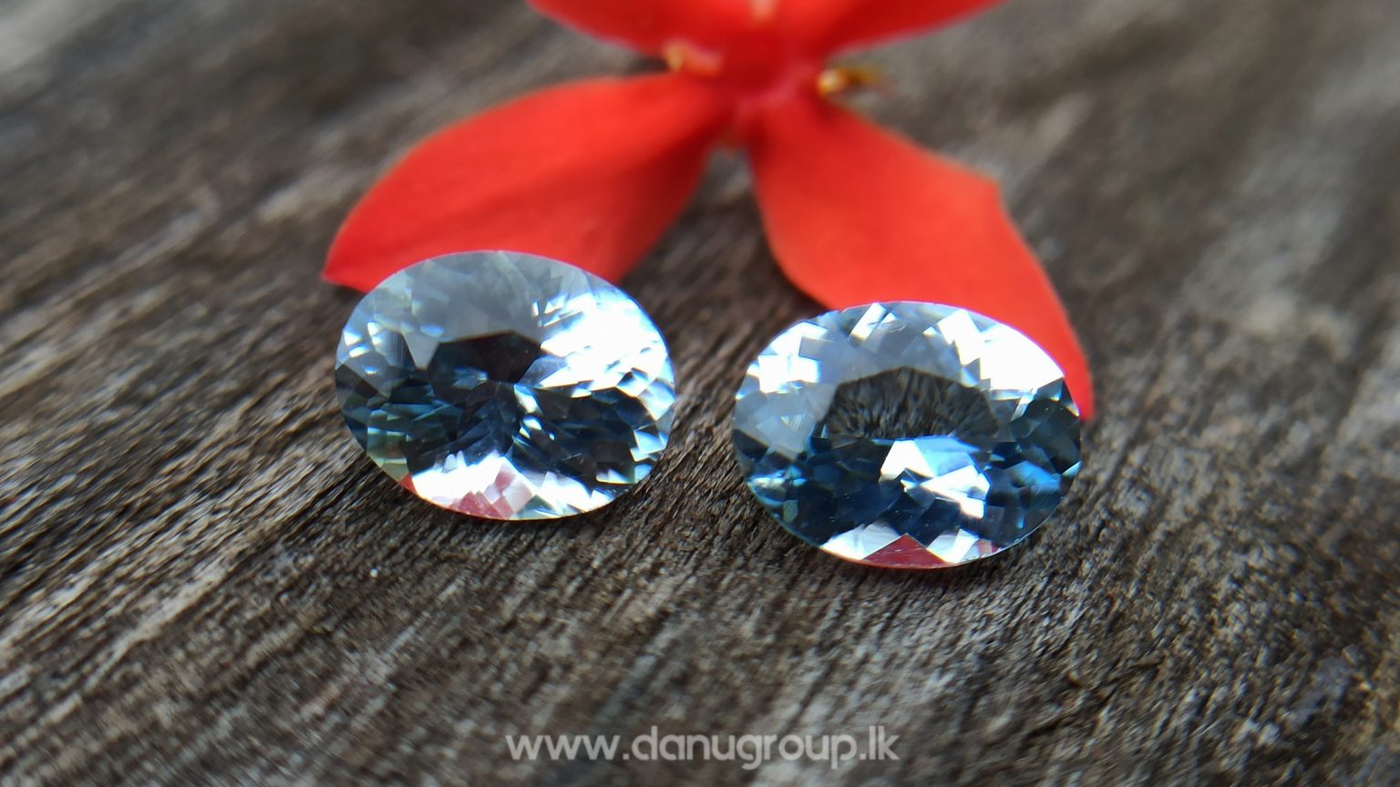 Sri Lankan Natural Light Blue Aquamarine Pair from Balangoda Sri Lanka Danu Group Gemstones Collections