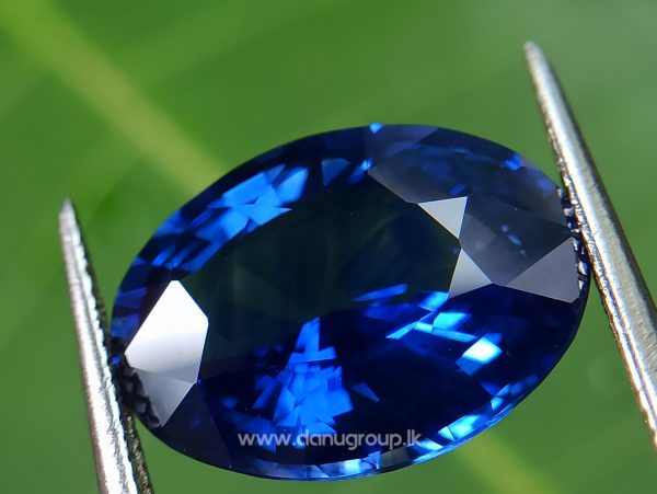 High Quality Ceylon Royal Blue Sapphire Big Oval stone from Danu Group