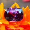 Ceylon Natural Purple Sapphire Cushion Rectangular Gem from Danu Group Engagement Ringstone