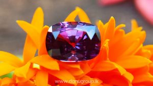 Ceylon Natural Purple Sapphire Cushion Rectangular Gem from Danu Group Engagement Ringstone