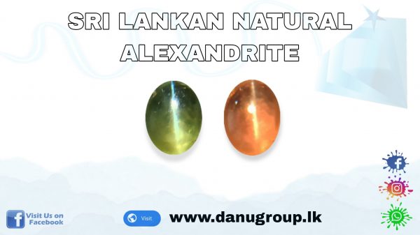 Alexander Cats eye - Sri Lankan alex cats eye from Danu Group Gemstones Collections