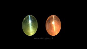 Alexander Cats eye - Sri Lankan alex cats eye from Danu Group Gemstones Collections