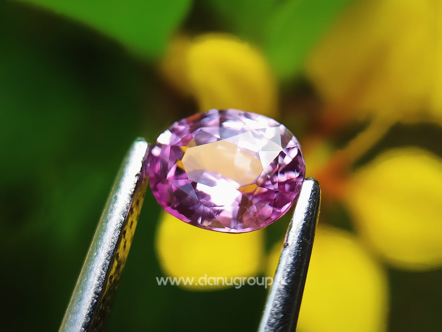 Ceylon Natural Pink Sapphire Oval shape Unheated Gem from Danu Group